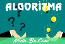 Algoritma-Ne-Demek-Kısaca-Açıklayıp-Örnekler-Verelim-nedir-bu