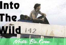 İnto-The-Wild-Konusu-Nedir-Ve-Oyuncuları-Kimlerdir