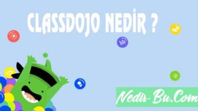 Classdojo-Nedir-Nasıl-Kullanılır-Eğlenceli-Sanal-Sınıf
